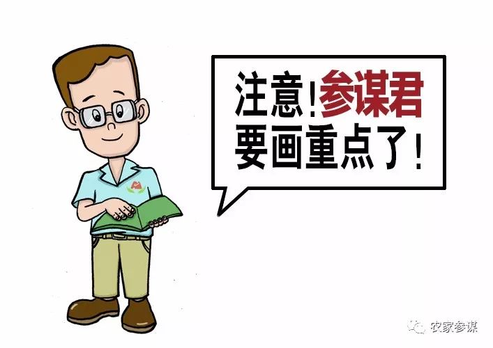 【参谋百科】用鸡蛋做这些,我和我的小伙伴们都惊呆了