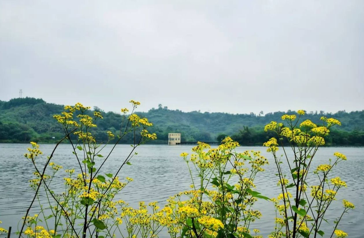 迎龙湖湿地公园通过验收啦!重庆这五个地方多了国家级湿地公园