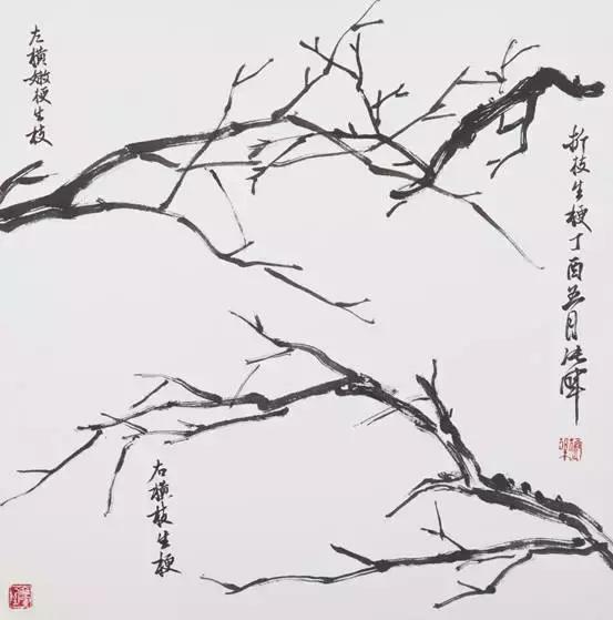 张晖教你画梅花:枝干原来很好画!