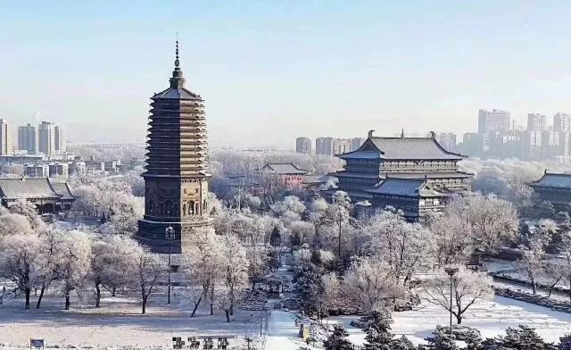 只为莹雪驻足白塔公园一场说下就下的飞雪,白了整座辽阳