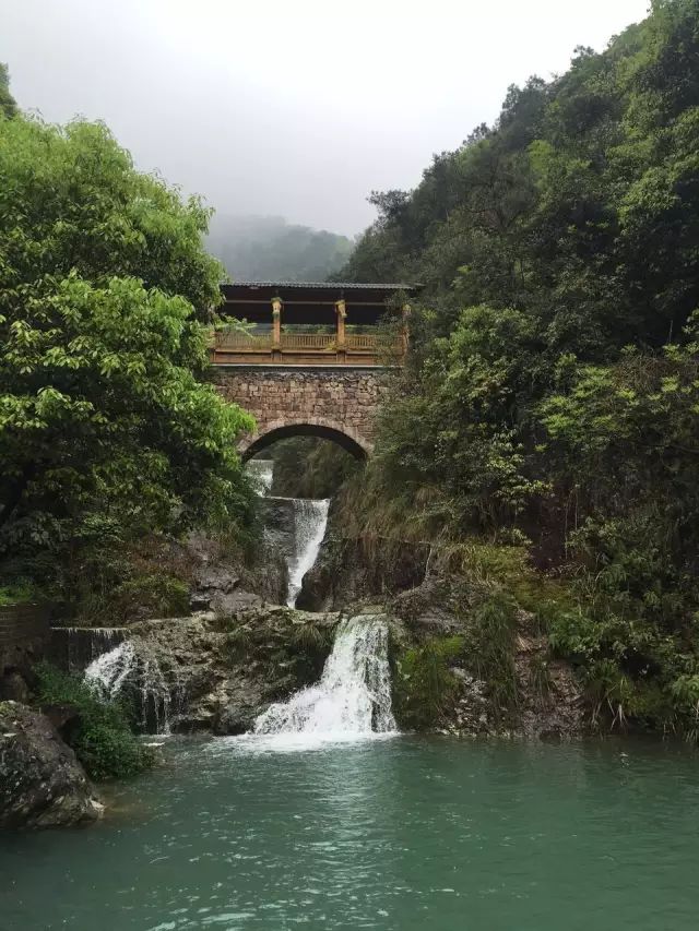 好消息瓯海休闲旅游又增好去处我在吹台山森林康养基地等你