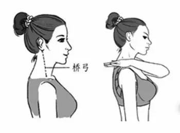 位置:桥弓穴位于人体脖颈两侧的大筋上,左右移动头部的时候都能用手摸