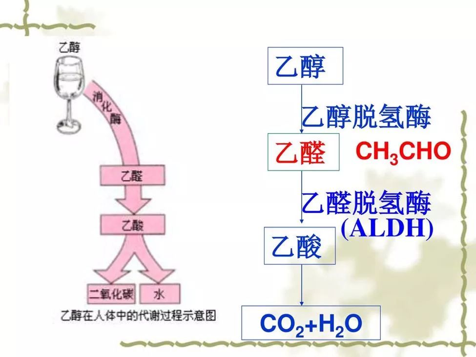 全中国有多少人口_其他使用其他九种之一的主要方言的人口主要分布在南部(2)