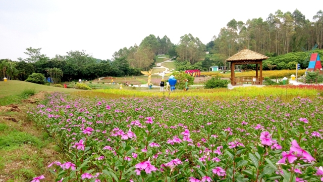 深圳九龙山花仙谷1大1小仅29.9元,超多个游玩项目等你