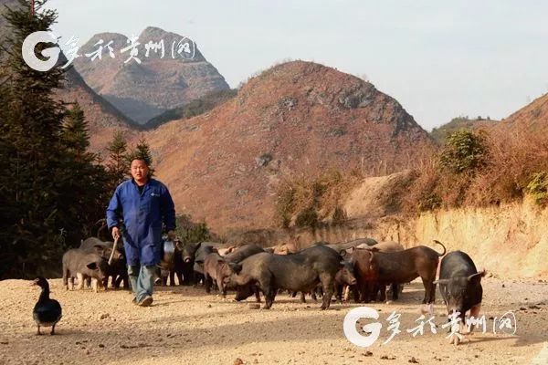 脱贫人口劳_中国人口脱贫数据图