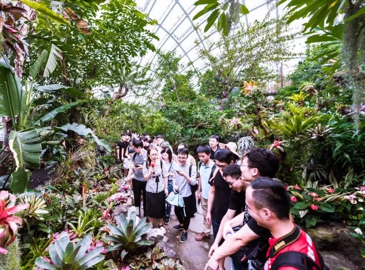 热带雨林馆丨奥雅精品 贵州安顺市西秀区旧州山里江南洛嘉儿童乐园epc