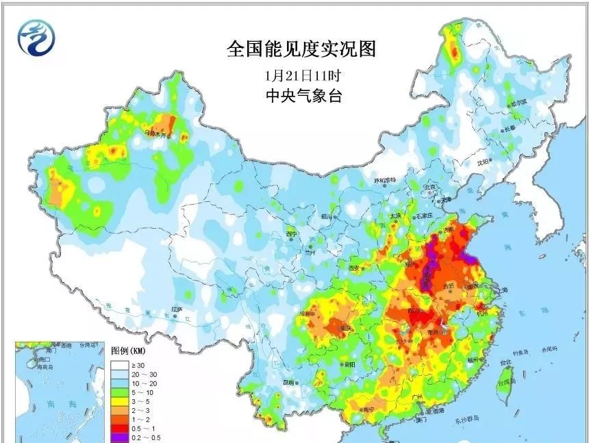 园洲镇人口流入多吗