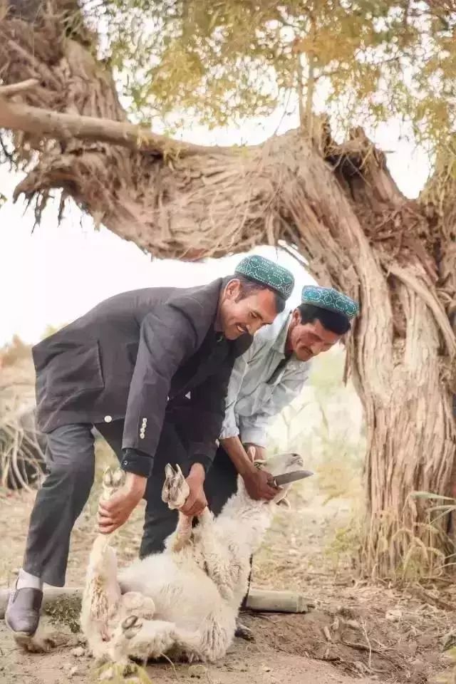 自驾出行这个大漠深处的桃花源是中国最难到达的古村落