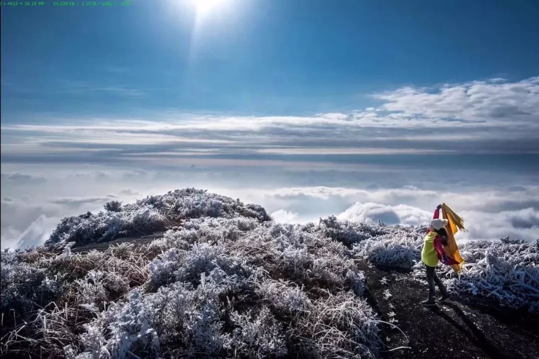 春节2月19日正月初四发团金铙山小木屋假期二日游坐高山小火车住山顶