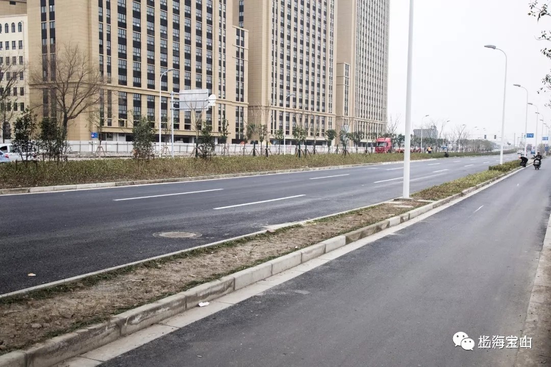 友谊西路(蕰川路至潘泾路段)通车啦