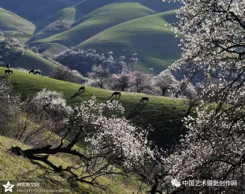 2018新疆之春"赛里木湖—杏花沟—琼库什台人体草原-奎屯红山大峡谷