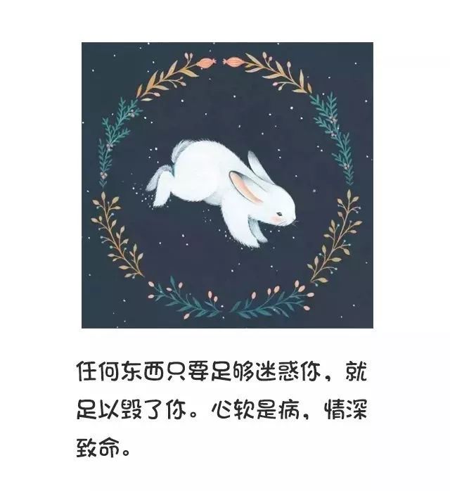 社交|"心软是病,情深致命.