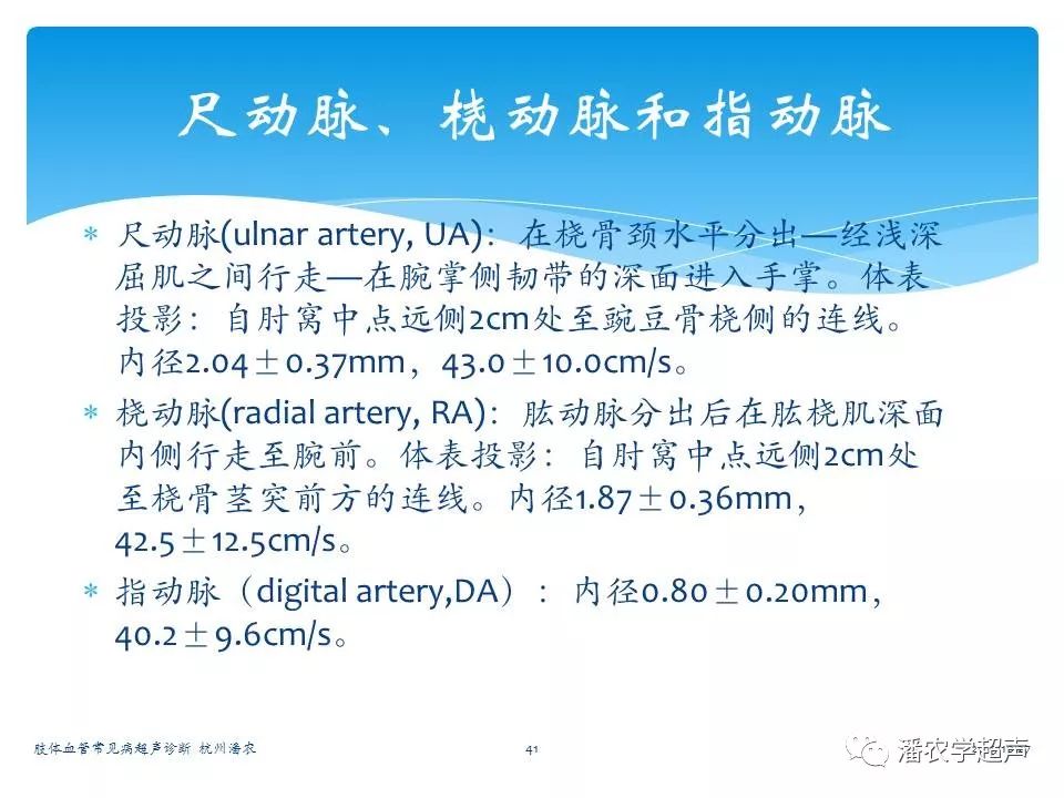 肢体血管常见病超声诊断上肢动脉