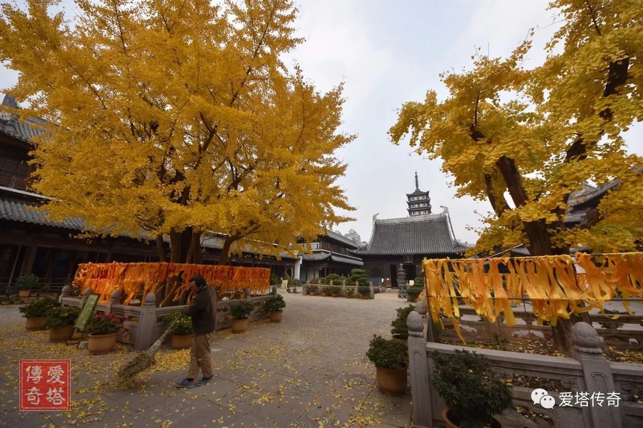 【原创】上海普陀真如寺大殿