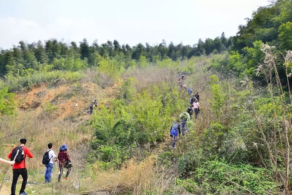 公益拉练祖堂山牛首山将军山翠屏山四山连穿