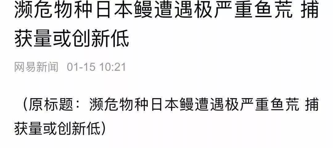 6 个鳗鱼冷知识,濒临灭绝是因为太污?