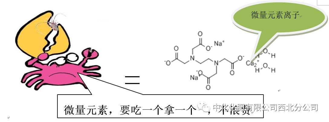 另外:中化苹果专用肥的螯合剂,最后也变成"美食"被植物"吃"掉了.