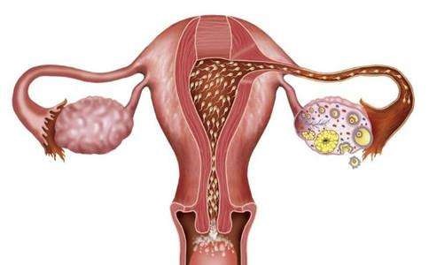 很多女性朋友其实重来没有意识到子宫里面有很多毒素垃圾,这些垃圾