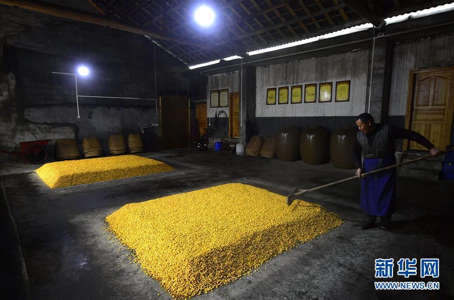 这是1月21日在湖北省宣恩县椒园镇黄坪村一酿酒作坊拍摄的经冷却的酒