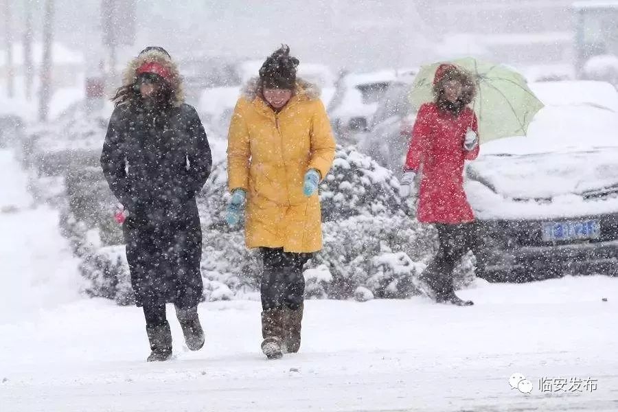 【农林|提示】小雪 中雪 大雪 暴雪!临安大范围降雪马上到