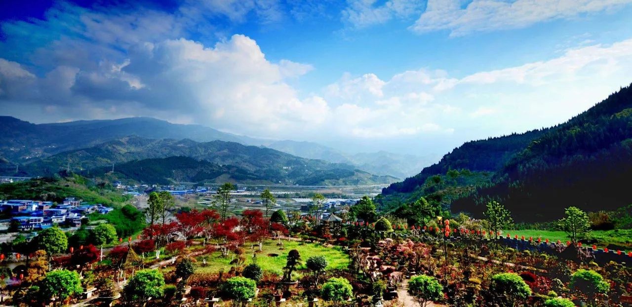 开州盛山植物园