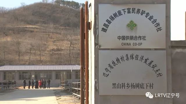 葫芦岛2020年3季度经济总量_2020年葫芦岛英语真题