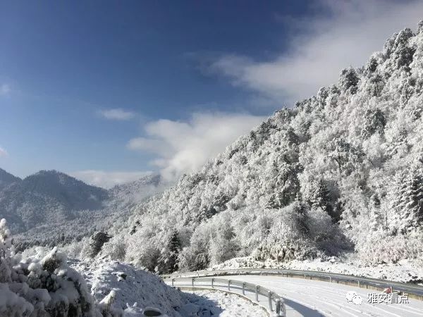 旅游 正文 不用去到遥远的东北  雪景就在咱们雅安市天全县二郎山喇叭