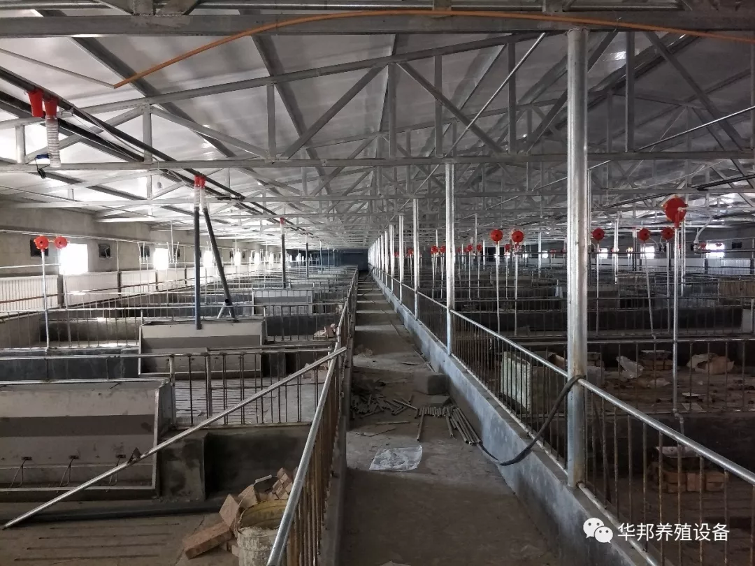 华邦农牧供应温氏集团某养猪场20栋自动化养猪设备即将完成安装