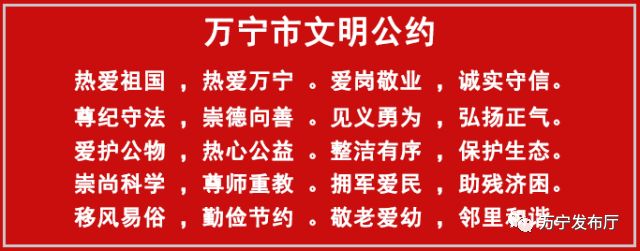 海南外来人口占比_海南19县区常住人口:海口最多,三亚超百万,儋州占比下降最