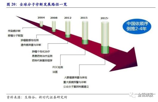 安图人口_安图人遗址图片(2)