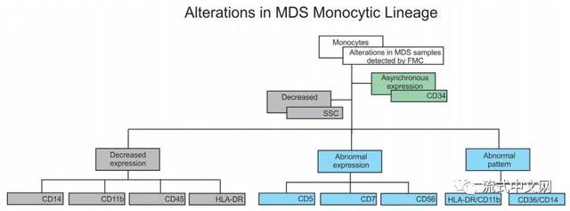 mds需要分析哪几群细胞每群需要分析哪些指标