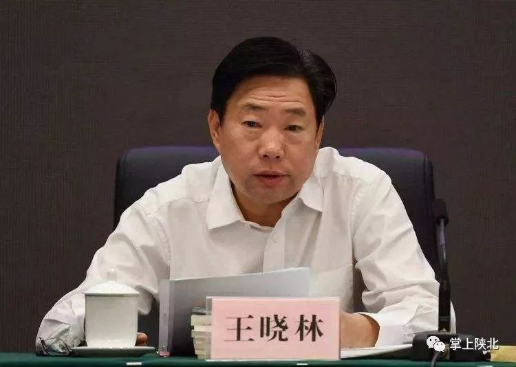 国家能源局副局长王晓林接受审查 曾任神华集团副总