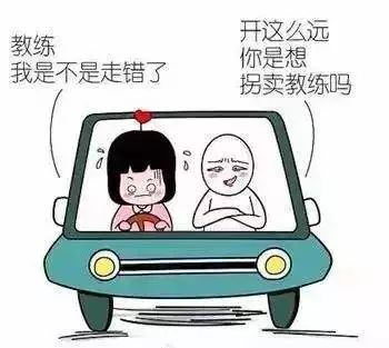 【开心一笑】那些年学驾照,被教练支配的恐惧,你经历