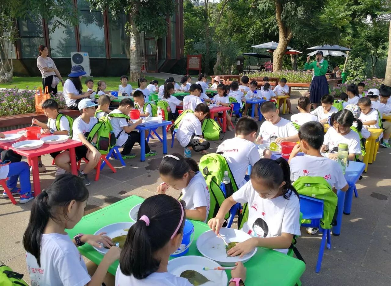 喜大普奔|南宁市南湖小学科学节活动获评第五届广西青少年科学节特色