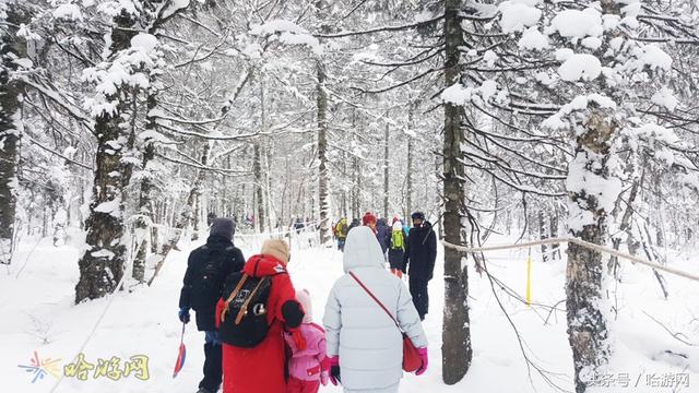 2020派克服拍雪景照怎么穿搭_克服困难图片(3)