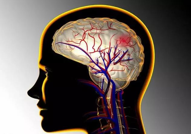 头部出现2个信号,你的脑血管已严重堵塞,3招快速清血栓通血管