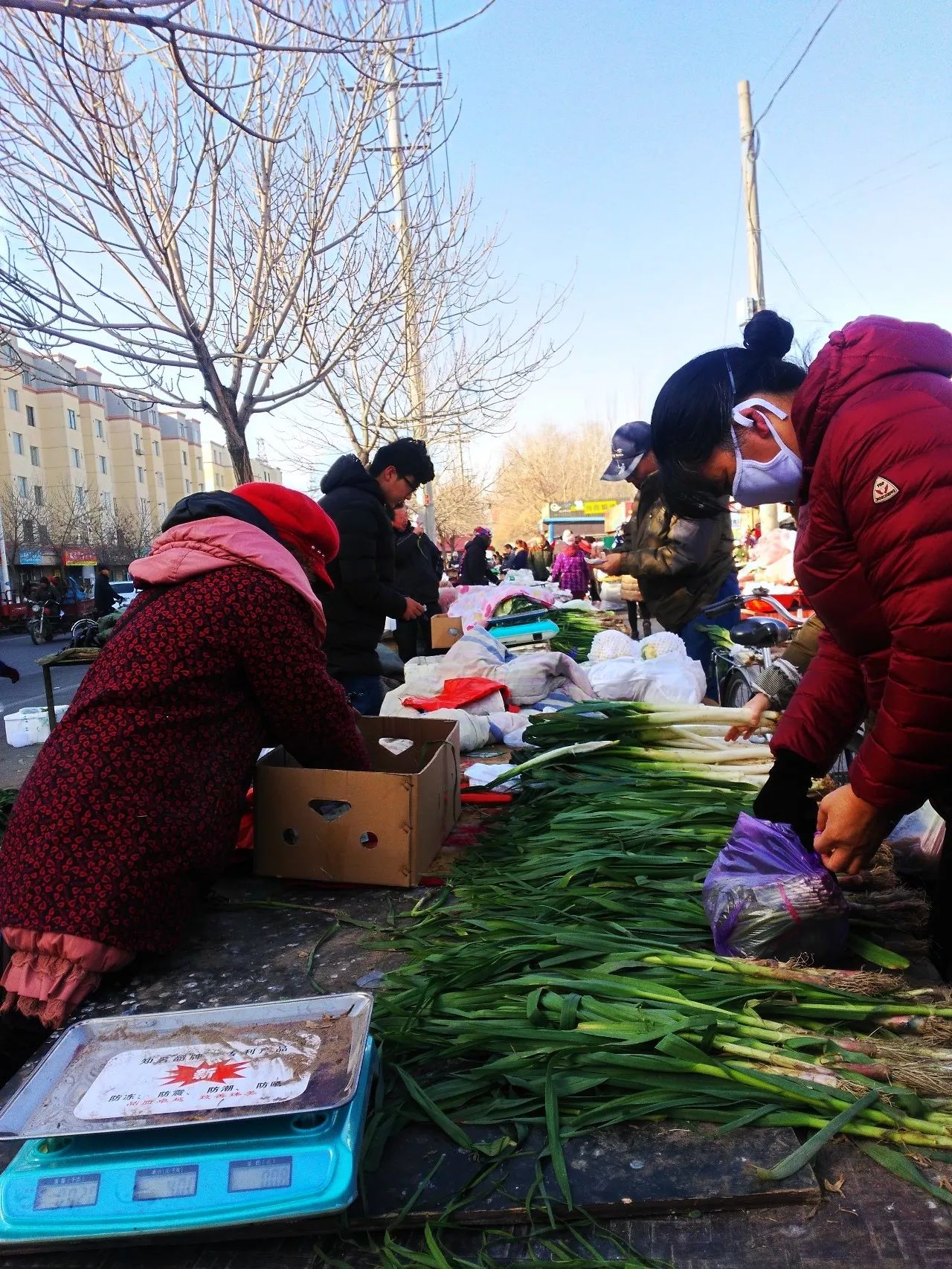 金昌多少人口_金昌鱼图片(3)