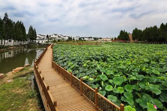 最南京|早知东山有美景,何须世外觅桃源