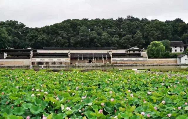 旅游 正文 九峰山为南岳七十二峰之少祖,位于双峰县荷叶镇,石牛乡和