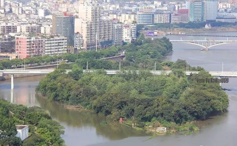 赣州市民△1月20日,几名工人手捧盆栽行走在飞龙岛公园崭新的环岛木