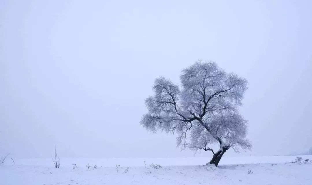 那些年于我来说,下雪是一场接一场不敢哭的伤心