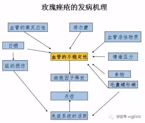 玫瑰痤疮的发病机理