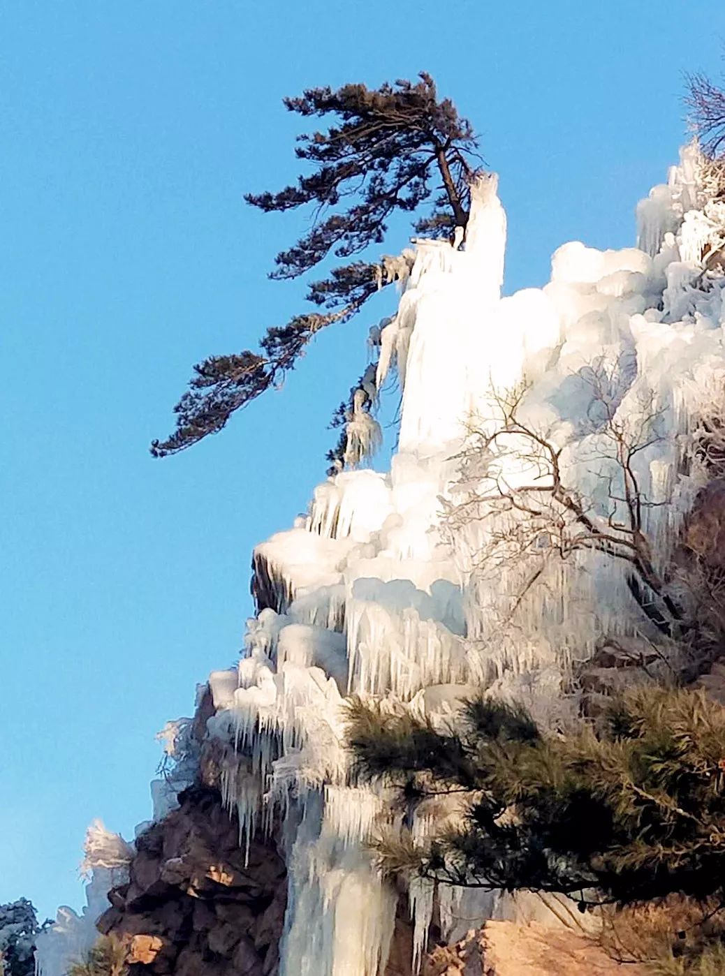 1月24日迁西头条:明日限行3和8/景忠山邀您看苍茫大地,赏冰雕美景