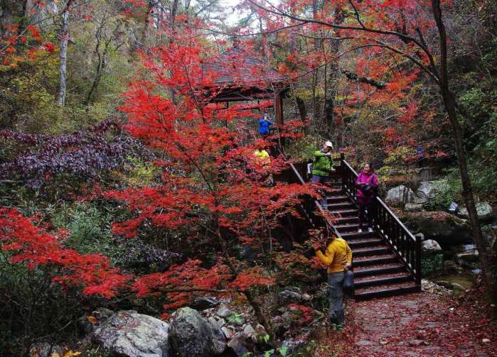 鹞落坪峰峦叠嶂, 溪回谷幽, 古寺庄严, 无不令人连连叫绝