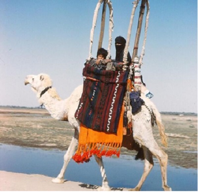 1960年伊拉克沙漠地区骑骆驼的男孩和妇女(图片来源:iraq pictures)