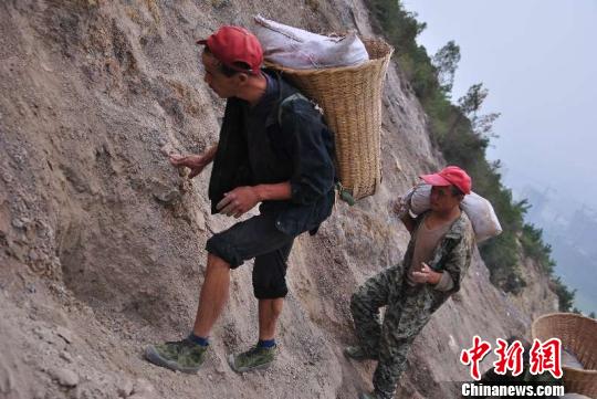 悬崖上栽树的汉子张俊平甘做城市造绿人