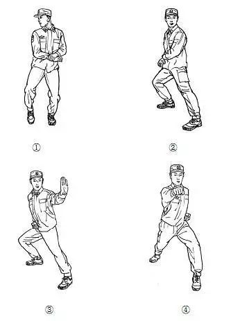 第五式 缠腕冲拳动作要求:虚步砍肋狠,上步击腹快.