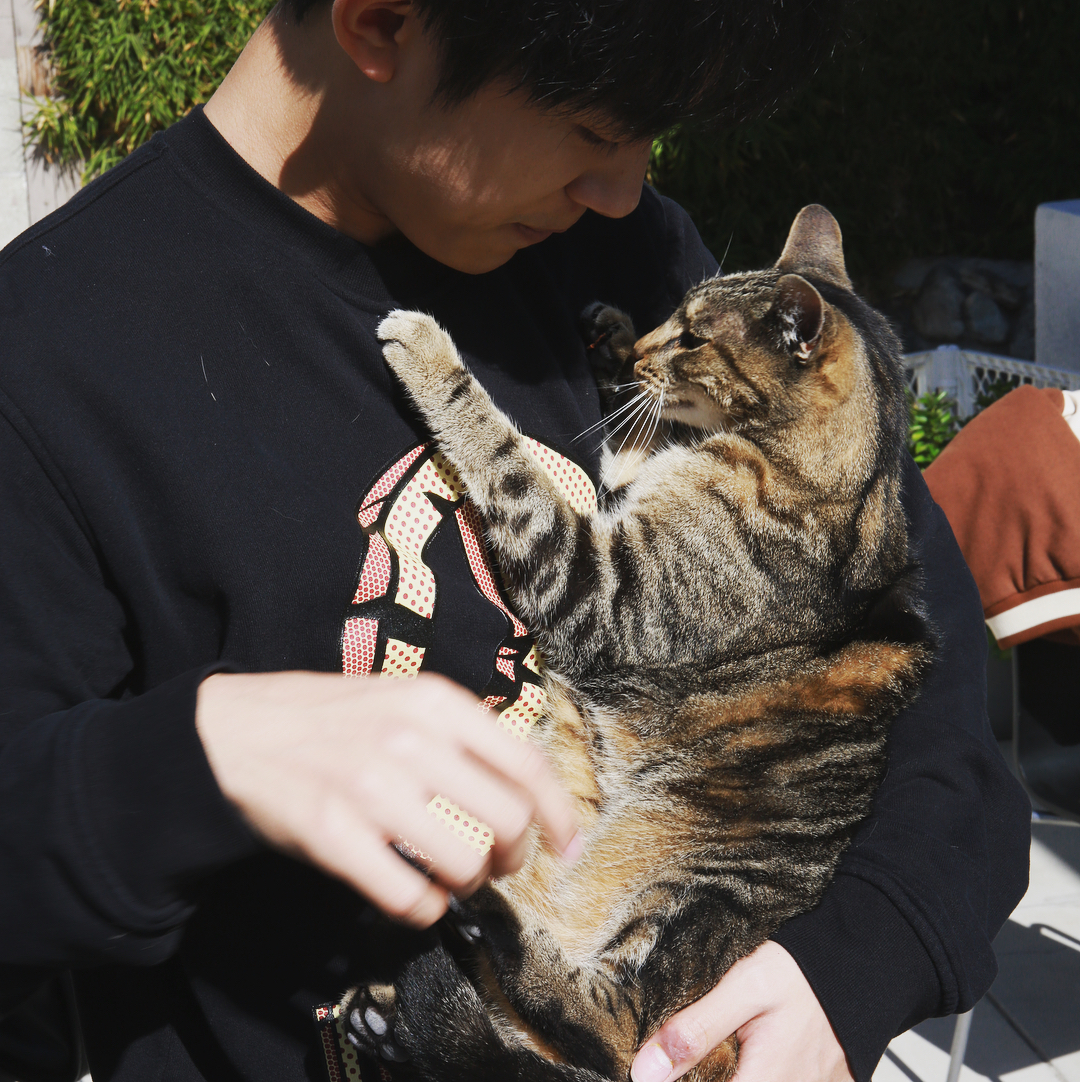 易烊千玺拍照时抱着一只猫，猫的小眼神太抢镜了