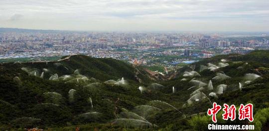 图为绿化后的玉泉山. 张俊平供图