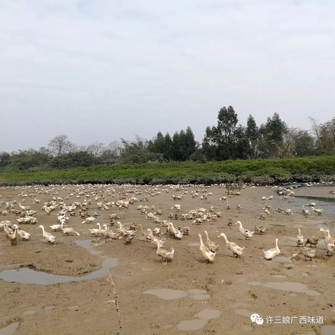 致富栏目六码_致富栏目在哪个电视台_致富经栏目